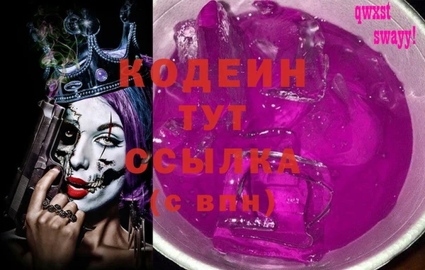 гашик Алзамай