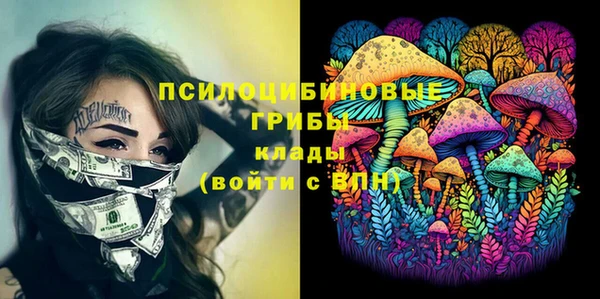бошки Абинск