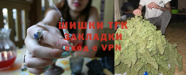 гашик Алзамай