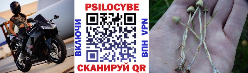 блэк спрут ТОР  Кирс  Псилоцибиновые грибы Magic Shrooms 